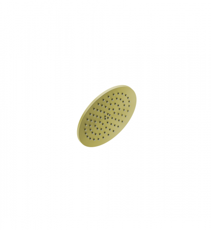 LIQUIDRed PLUS (1039) Shower Rose 200mm (BRASS) -BCGD