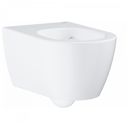 Essence wall hung wc alpine white