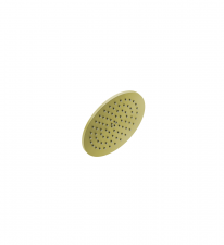 LIQUIDRed PLUS (1039) Shower Rose 200mm (BRASS) -BCGD